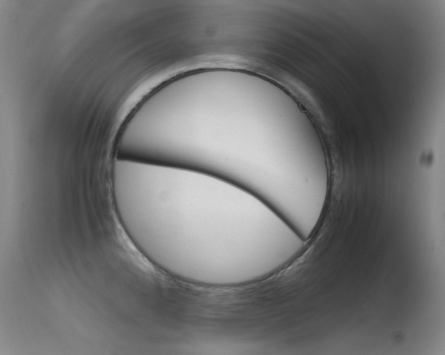 X0000115621192200911101049