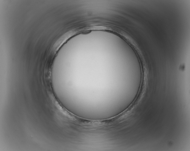 X0000115621193200911101049