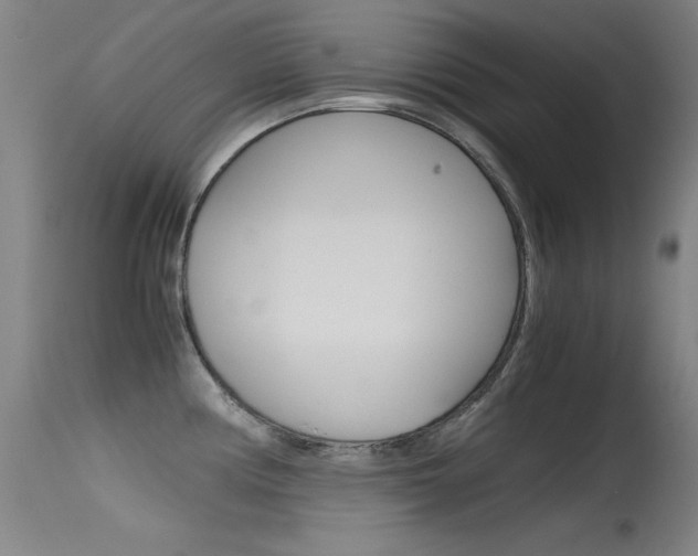 X0000115621194200911101049