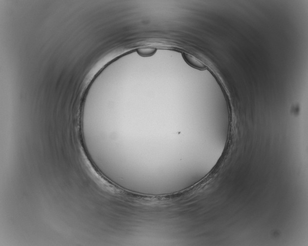 X0000115621195200911101049
