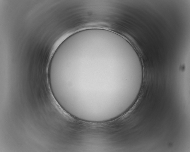 X0000115621196200911101049