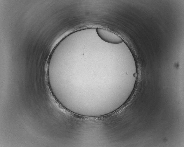 X0000115621198200911101049