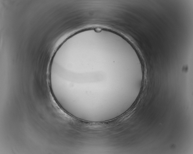 X0000115621199200911101049