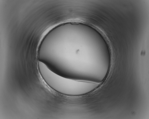 X0000115621200200911101049
