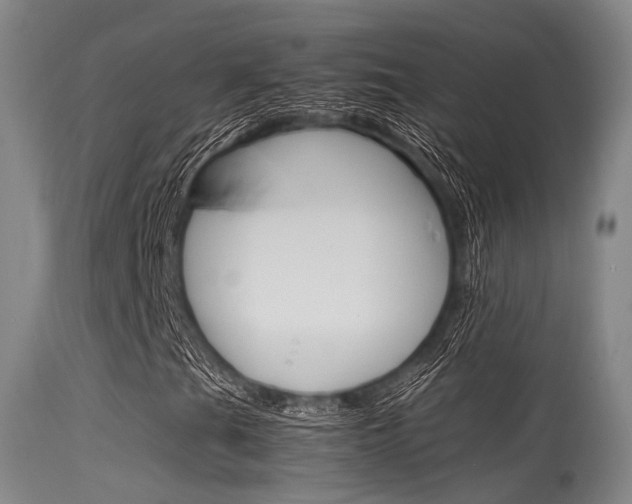 X0000115621201200911101048