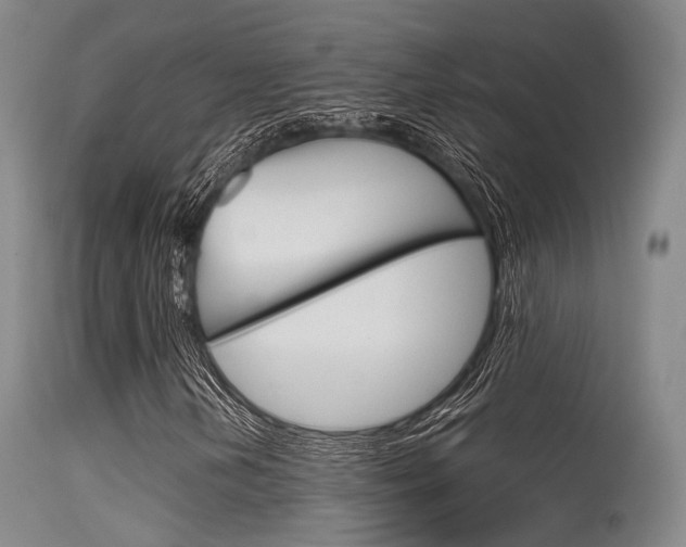 X0000115621202200911101048