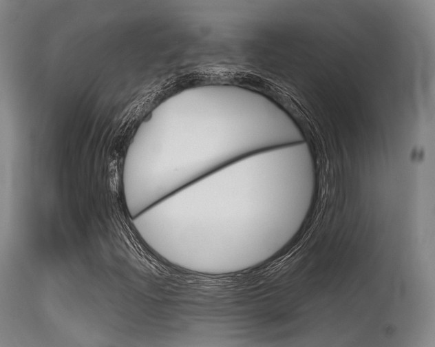 X0000115621204200911101048
