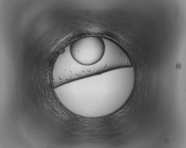 X0000115621205200911101048