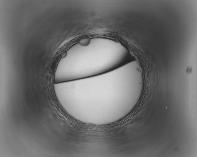 X0000115621206200911101048