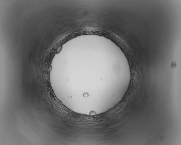 X0000115621207200911101048