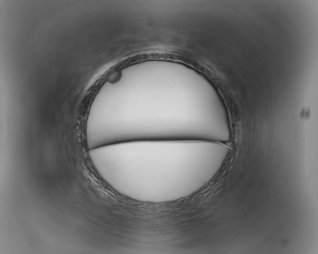 X0000115621208200911101048