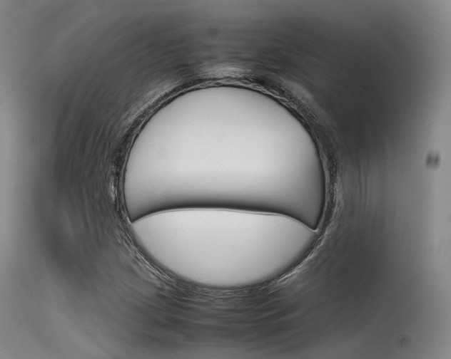 X0000115621209200911101048