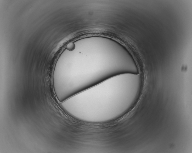 X0000115621210200911101048