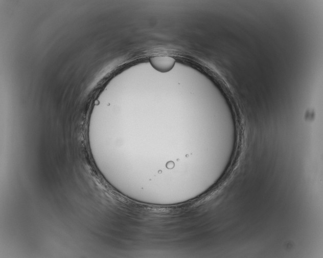 X0000115621211200911101048