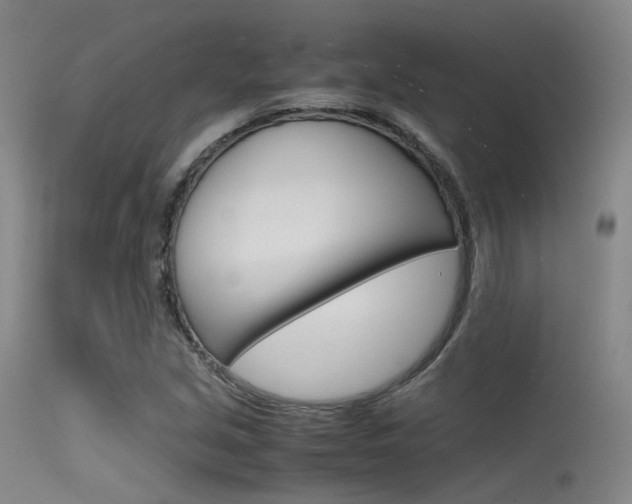 X0000115621213200911101048