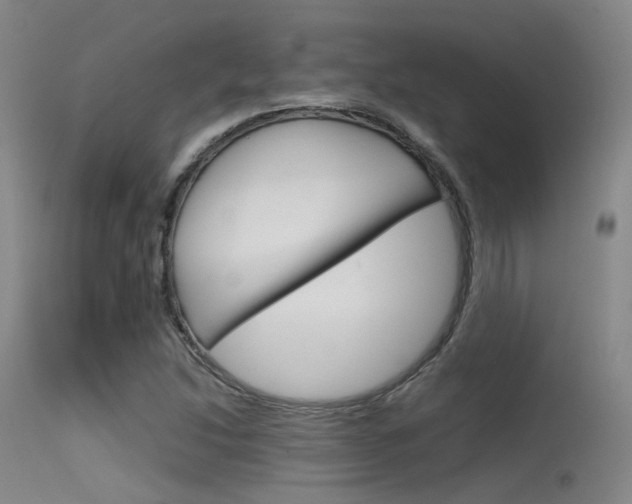 X0000115621214200911101048