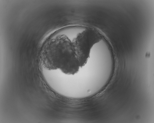 X0000115621215200911101048