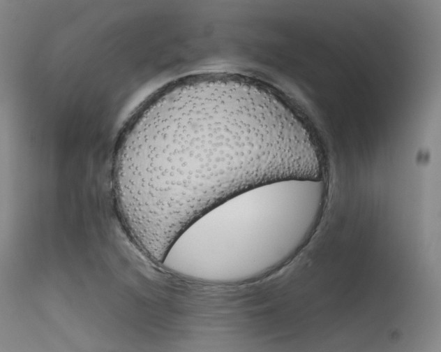 X0000115621216200911101048