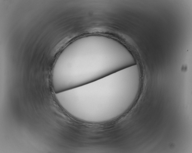 X0000115621217200911101048
