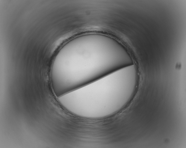 X0000115621218200911101048