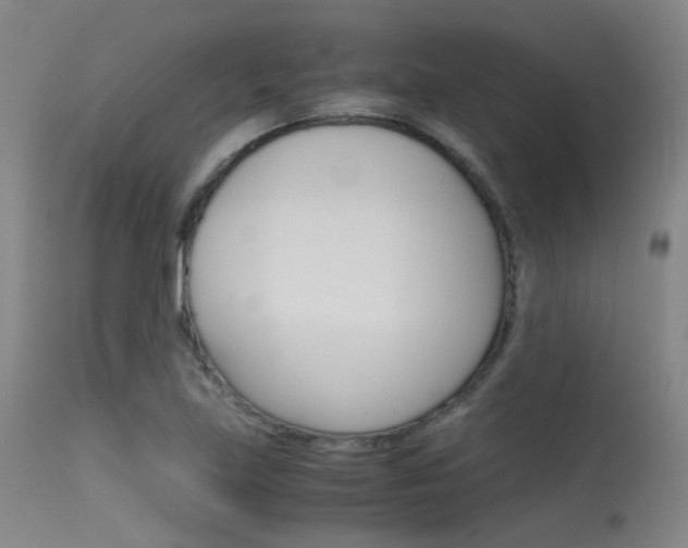 X0000115621219200911101049