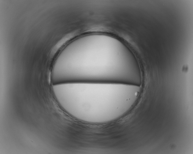 X0000115621221200911101049