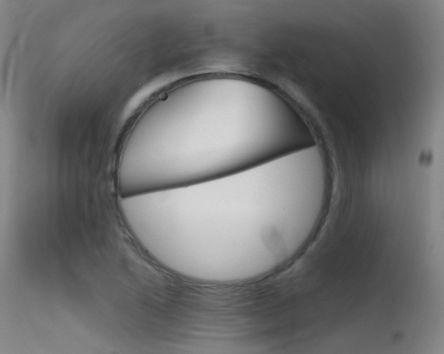 X0000115621222200911101049