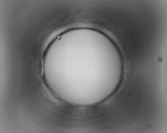 X0000115621223200911101049