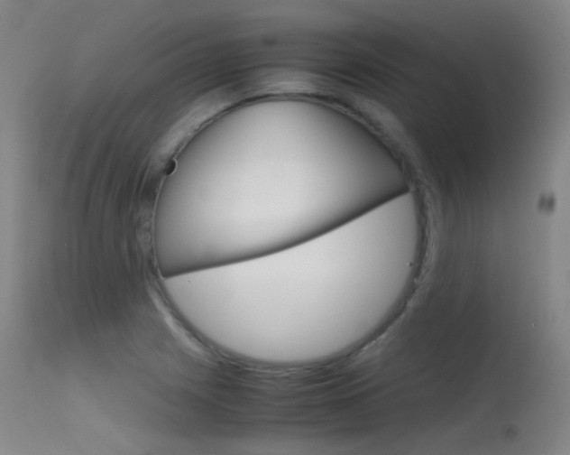 X0000115621225200911101049