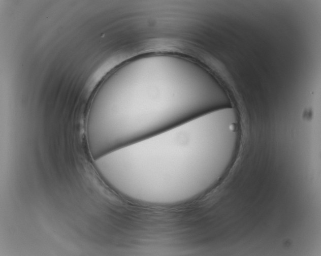 X0000115621226200911101049