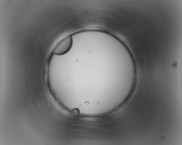 X0000115621227200911101049