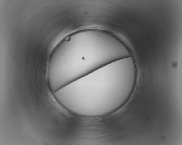 X0000115621228200911101049