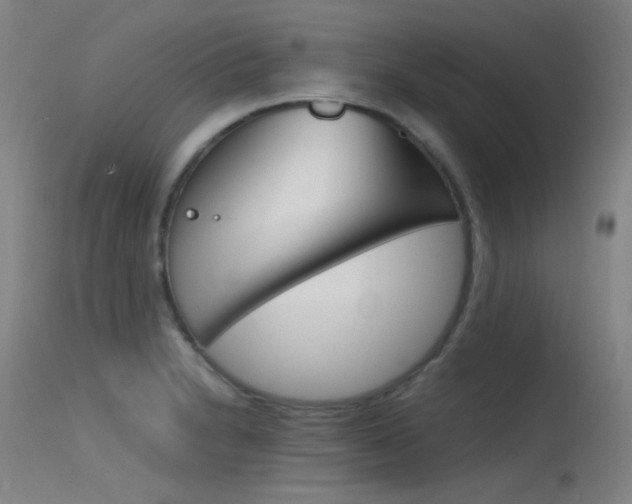 X0000115621230200911101049