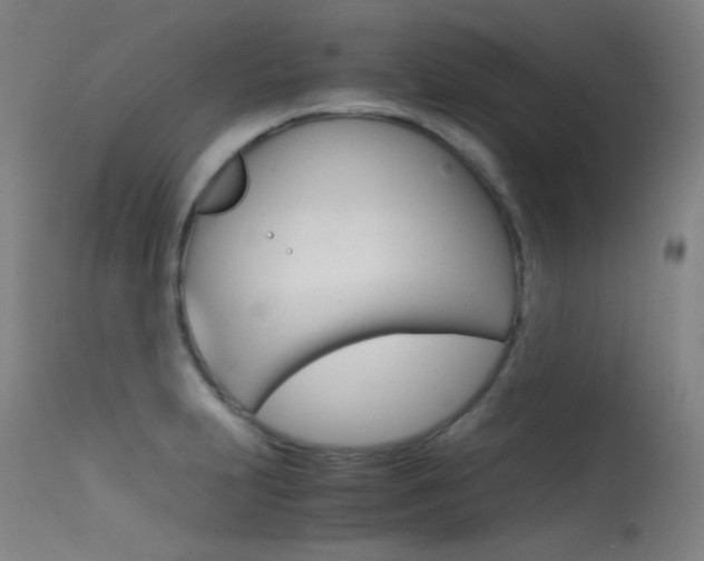 X0000115621231200911101049