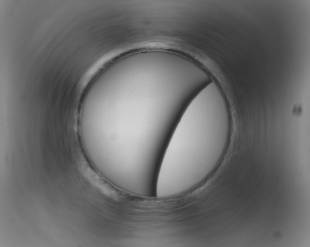 X0000115621232200911101049