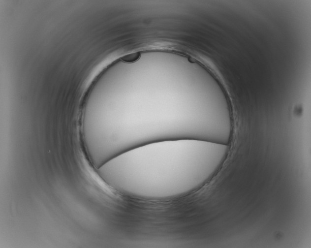 X0000115621235200911101049