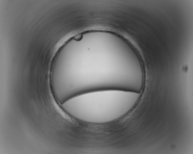 X0000115621237200911101049