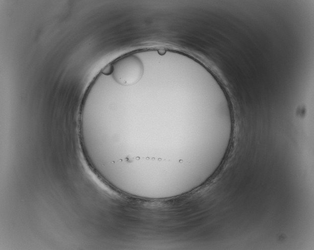 X0000115621239200911101049
