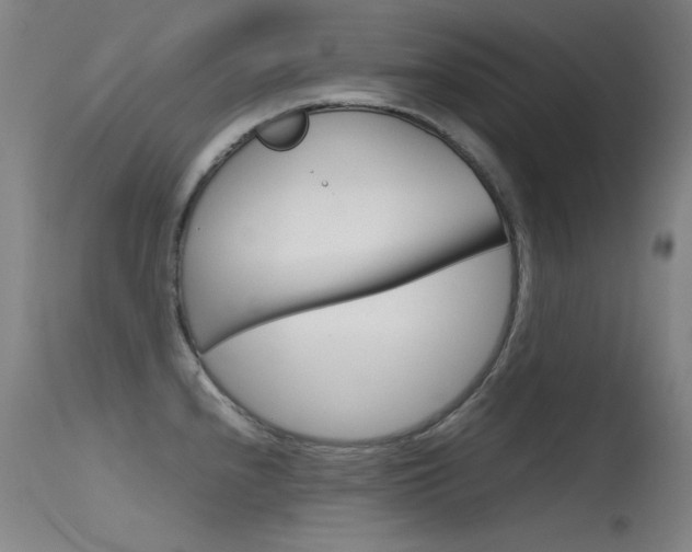 X0000115621240200911101049