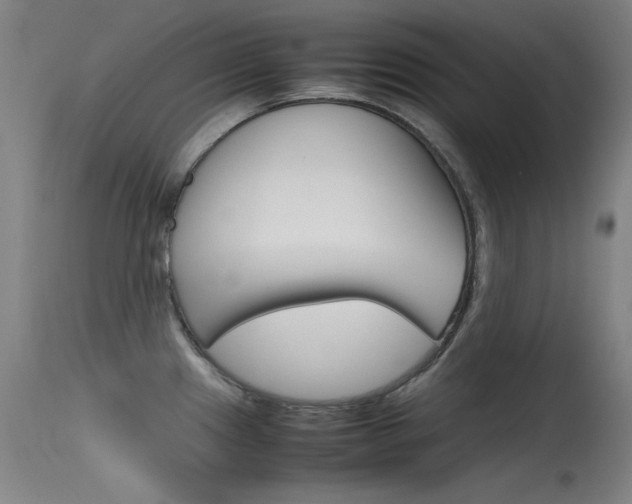 X0000115621241200911101049