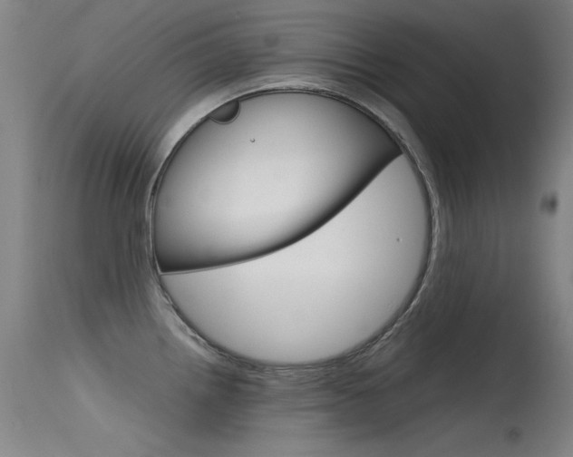 X0000115621242200911101049