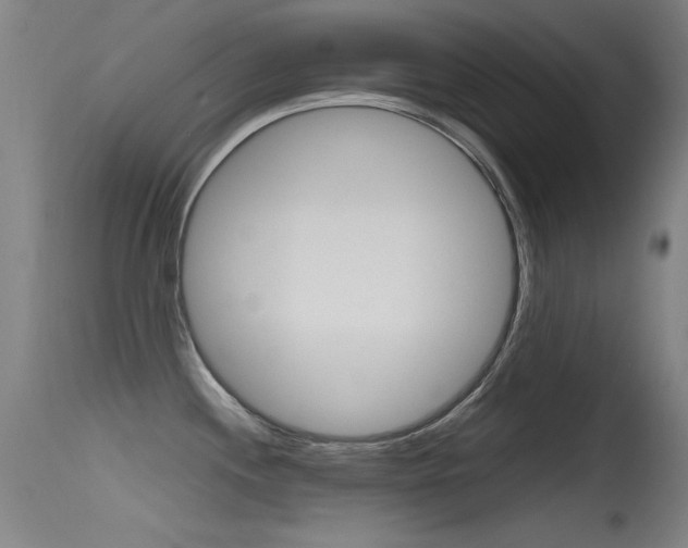 X0000115621244200911101049