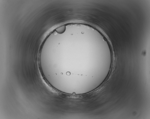 X0000115621245200911101049