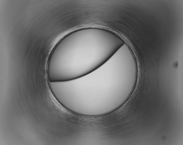 X0000115621246200911101049