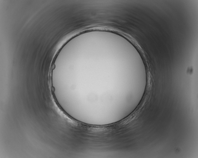 X0000115621247200911101049