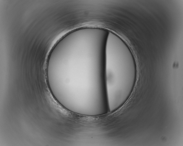 X0000115621248200911101049