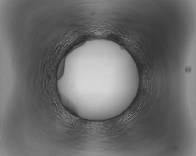 X0000115621249200911101048