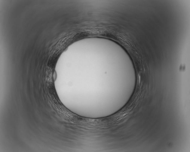 X0000115621251200911101048