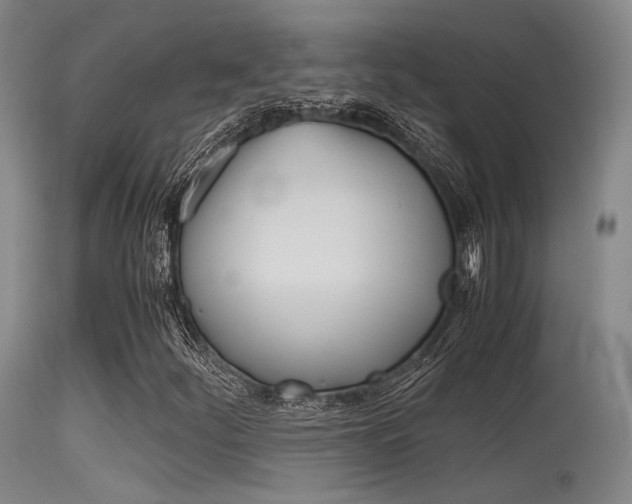 X0000115621252200911101048