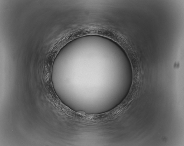 X0000115621253200911101048